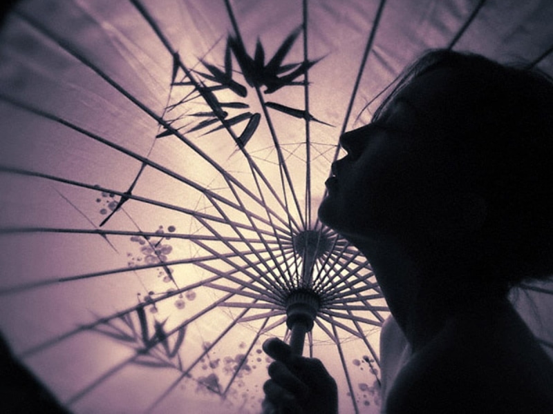 real people, 480P, umbrella, one person, nature, Asian, brown, architecture, headshot, flower, Japan, close-up, human body part, flowering plant, foliage