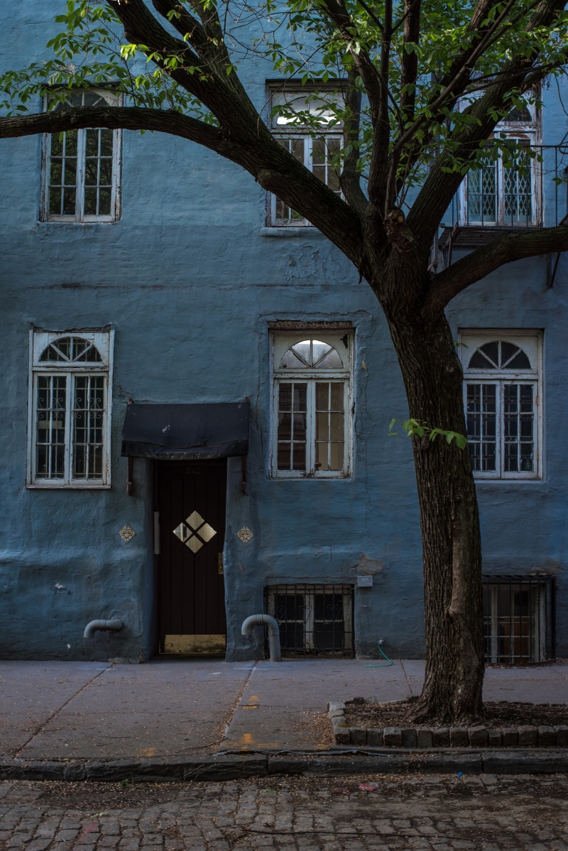 concrete, entrance, urban, built structure, building exterior, new york, blue, 5K, roadside, green, nyc, near, doorway, residential district, day, front