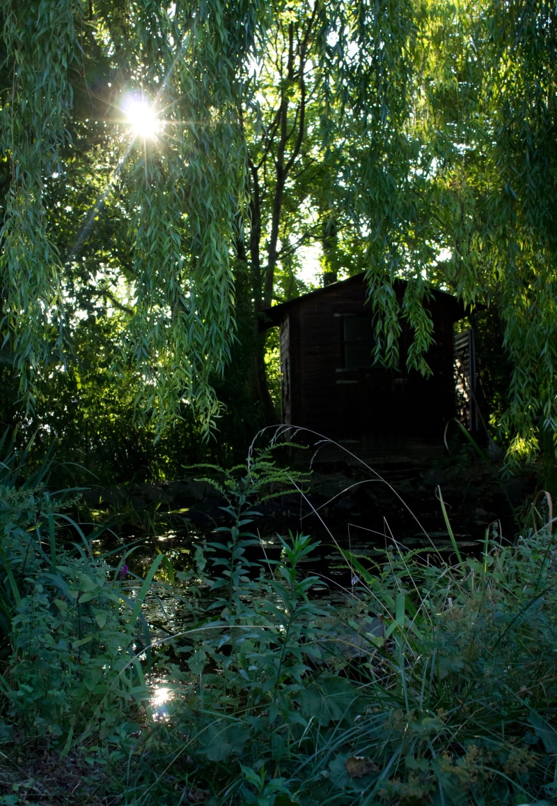 4K, witches hut, klausen, building, green, architecture, nature, lake, land, garden shed, tranquility, outdoors, day, forest, no people, magic, evening