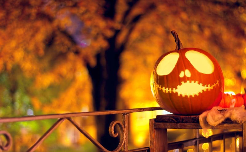 celebration, Halloween, lantern, autumn, nature, o, outdoors, food and drink, focus on foreground, illuminated, jack-o-lantern, orange color, im, tree
