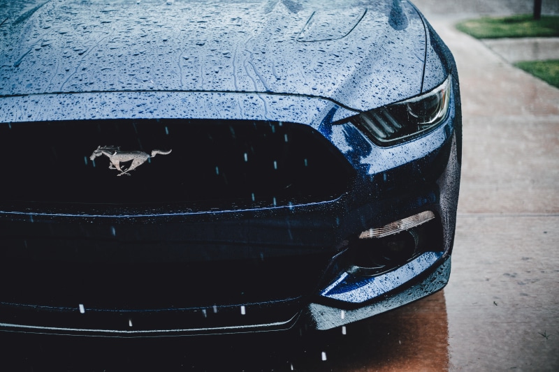 water, front view, mustang, animal, traffic, no People, rain, speed, headlight, motor vehicle, road, close-up, mode of transportation, street, wheel, car