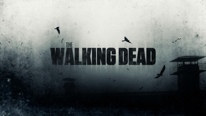720P, The Walking Dead, backgrounds, textured effect, day, bird, text, sign, black color, communication, western script, vertebrate, no people, outdoors