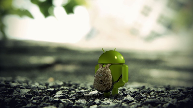 outdoors, new life, alone, day, android, character, pebble, food, tree, animal themes, nature, rock, stone - object, summer, yellow, figurine, land, selective focus