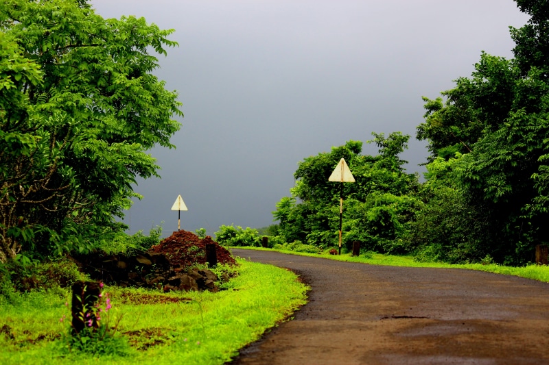 tree, culture, travel, sculpture, east, scenics, day, travel Locations, the way forward, Temple, worship, deity, religion, plant, outdoors, calm, direction
