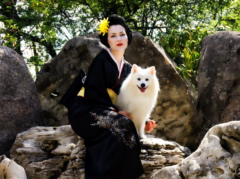 white dogs, 1080P, friendship, kimono, young women, women, looking at camera, solid, japanese spitz, vertebrate, nature, one animal, mammal, lifestyles