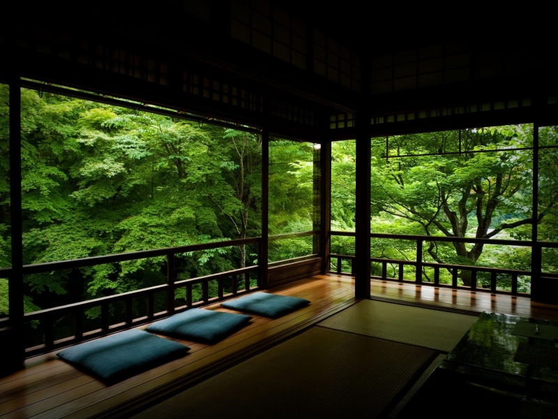built structure, pillows, transparent, light - Natural Phenomenon, domestic room, kyoto City, sunlight, land, greens, scenics, looking Through Window, plant