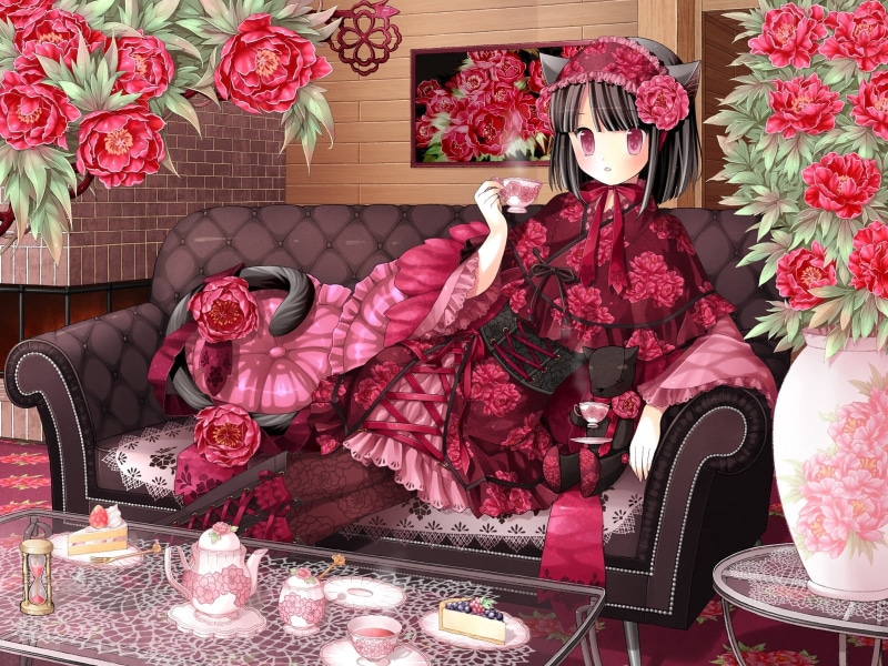 lifestyles, young Adult, beauty, clothing, adult, beautiful people, 720P, kimono, shoe, flowers, geisha in Training, flowering plant, females, black, japanese Culture