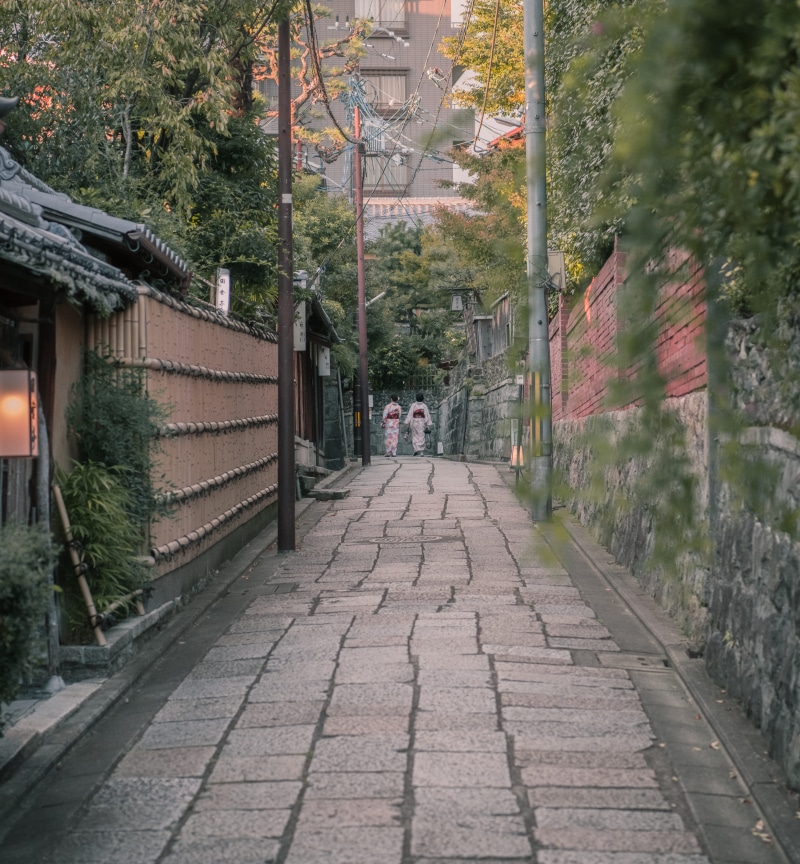 rear view, ishibe koji, architecture, direction, nature, tree, outdoors, paving stone, the way forward, gion, plant, two, building exterior, day, people