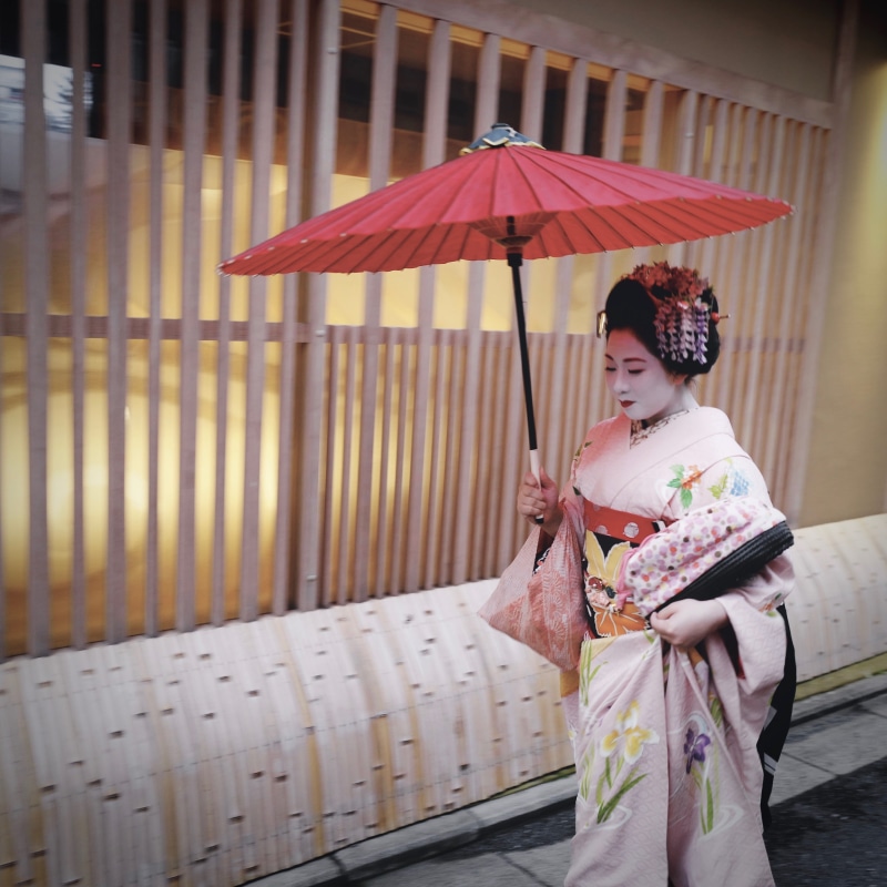 4K, protection, woman, robe, looking away, hairstyle, culture, gion, lifestyles, holding, young women, hand fan, clothing, japan, asia, district, traditional clothing