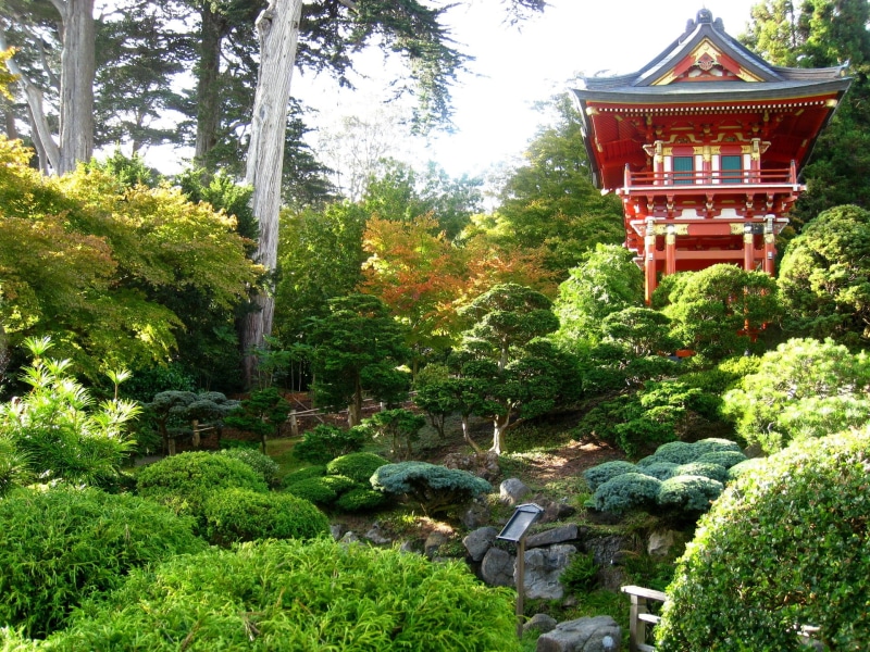 cultures, decoration, tree, architecture, building, travel, belief, japanese Garden, kyoto City, red, plant, nature, park - Man Made Space, growth, japan