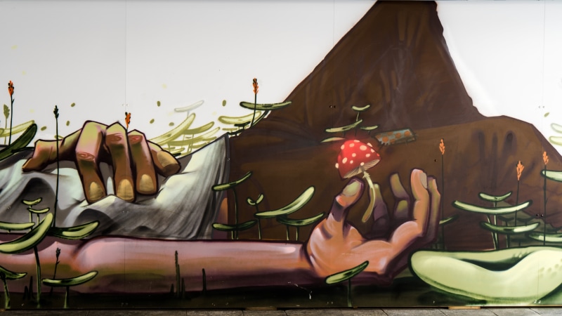 flowering plant, red, color, sprayer, hauswand, murals, luxury, mushroom, lying, artwork, human, street art, figure, holding, mural, modern art, spray