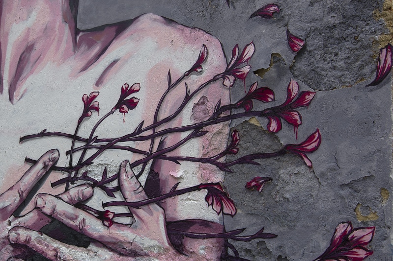 body, flower, mural, urban, outdoors, building, day, person, street, plant, flowers, design, softness, nature, creative, vulnerability, close-up, pink