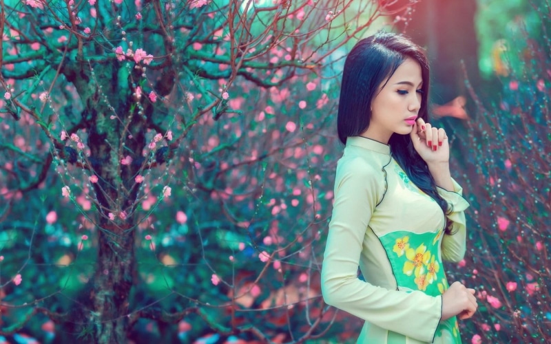 trees, pink, 720P, flowers, asian, girl