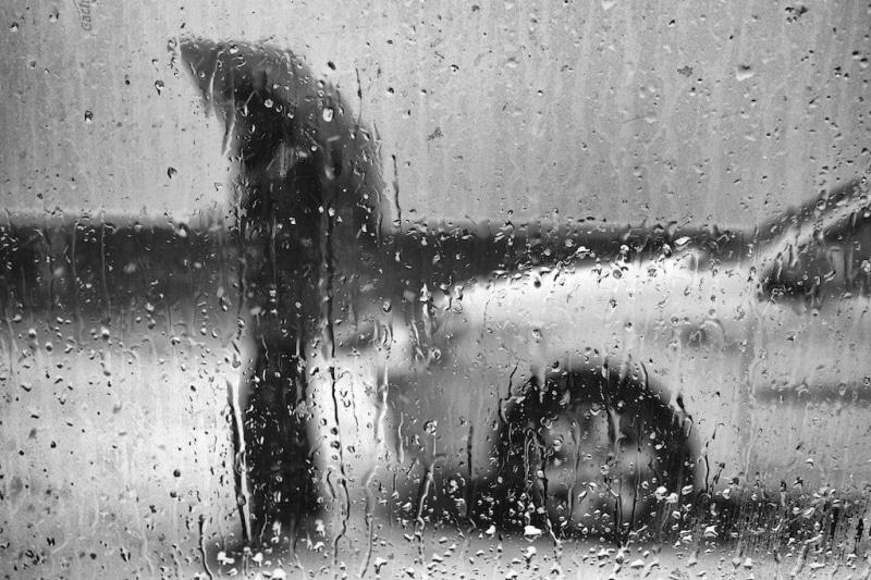 drop, window, weather, raindrop, rain, car, 480P, people, wet