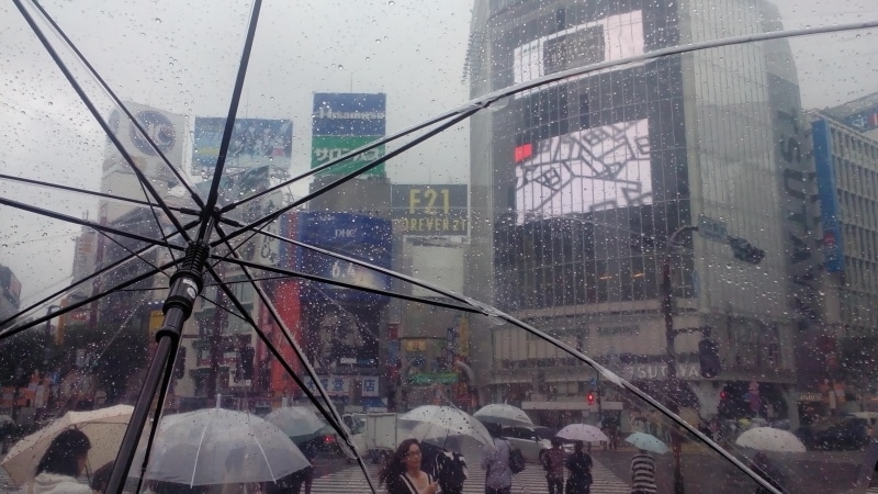 transparent, building exterior, shibuya, street, city life, wet, rain, office building exterior, skyscraper, communication, modern, group of people, glass