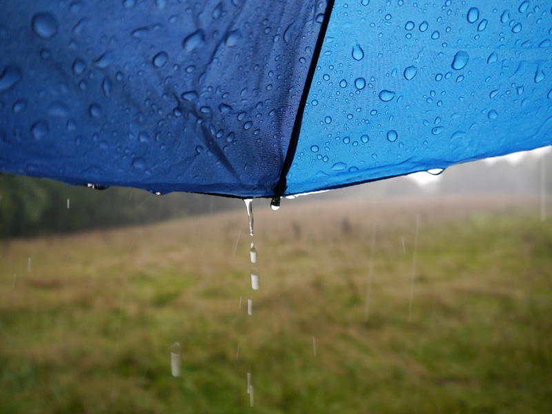 rainy season, drop, monsoon, purity, transparent, 4K, wet, water, variety, outdoors, close-up, no people, umbrella, weather, dew, focus on foreground