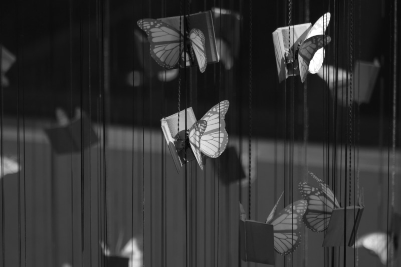 reflection, indoors, textile, united states, salt lake city public library, book, umbrella, mannequin, no people, glass - material, shopping, nature, transparent