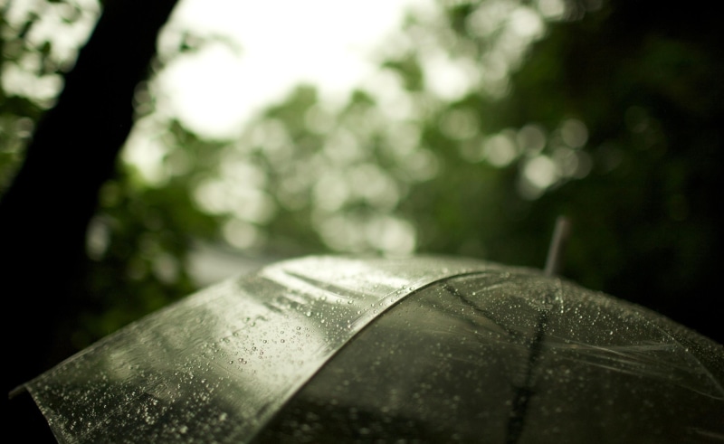 Seasons, day, Autumn, forest, water, wet, Umbrella, rain, no people, single object, selective focus, focus on foreground, white, 2K, food and drink, outdoors