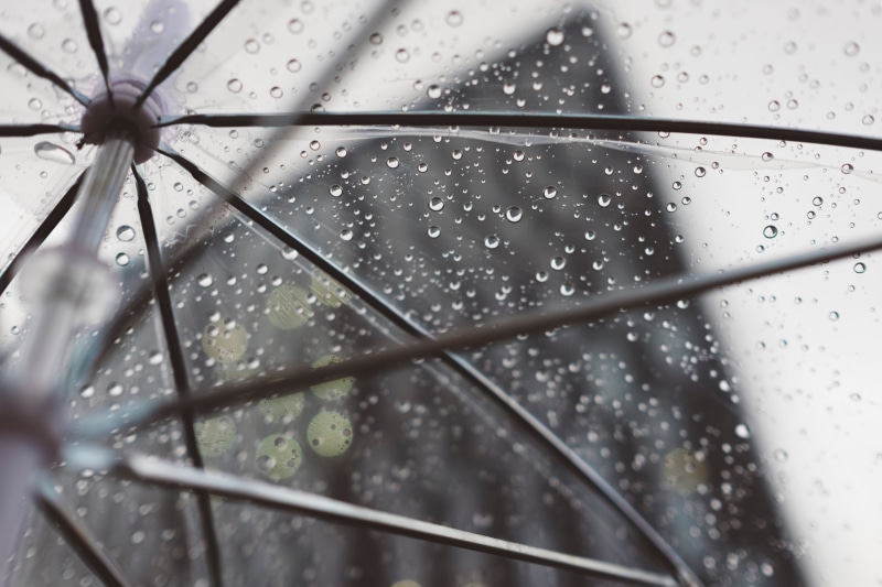 protection, wet, plastic, outdoors, drop, closeup, purity, architecture, nature, window, building, security, rainy season, selective focus, full frame