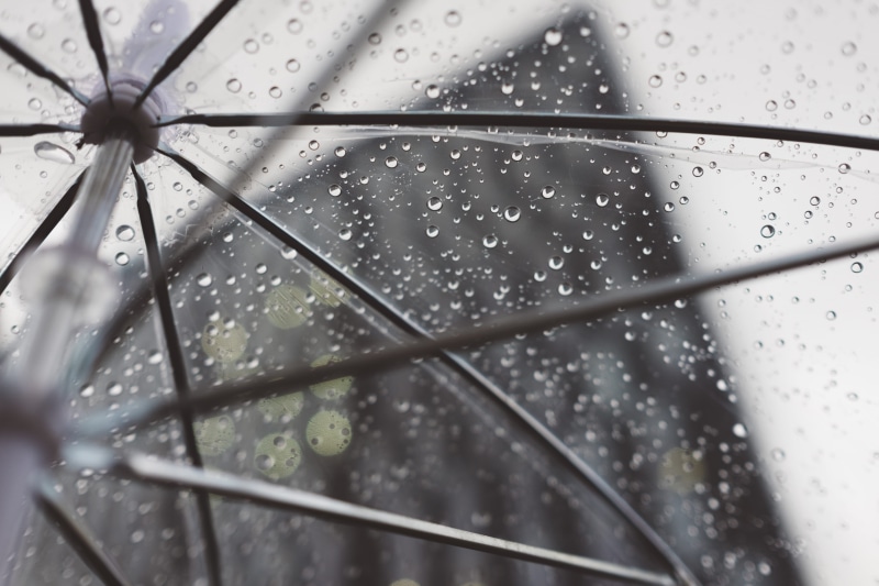 clear, drop, full frame, wet, water, selective focus, nature, dews, umbrella, protection, 4K, raindrop, security, rain, rainy season, transparent, no people