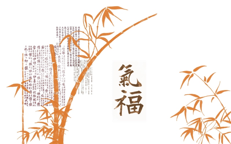 computer Graphic, close-up, paper, seed, indoors, brown, no people, silhouette, summer, agriculture, leaf, abstract, nature, decoration, design