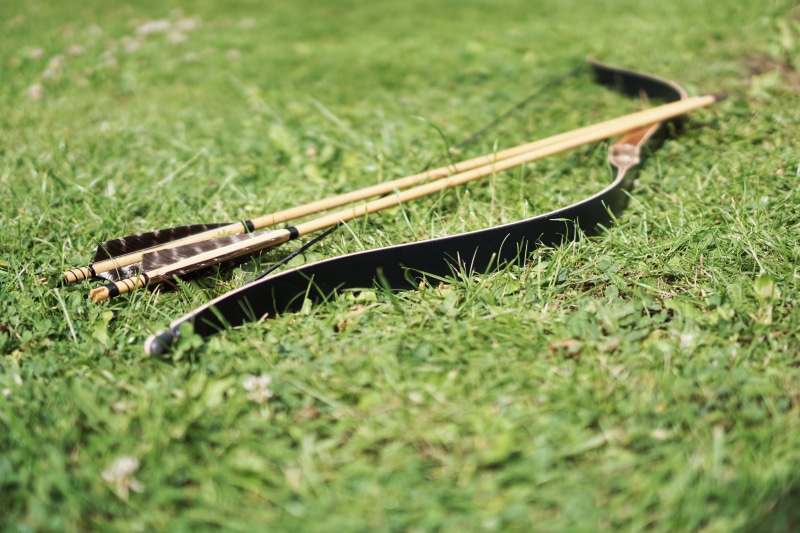 5K, green color, no people, outdoors, growth, arrow, gardening, bow, black, nature, single object, day, equipment, metal, grass, sunlight, sports, close-up