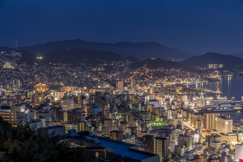 skyscraper, illuminated, photography, bird, city, street lights, s, crowd, travel destinations, light, night, view, sky, cityscape, building, nature, high angle view