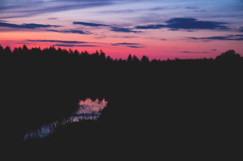 pine tree, lake, coniferous tree, river, non-urban scene, 2K, pink, landscape, sunset, clouds, gradient, scenics - nature, tranquil scene, plant, beauty in nature