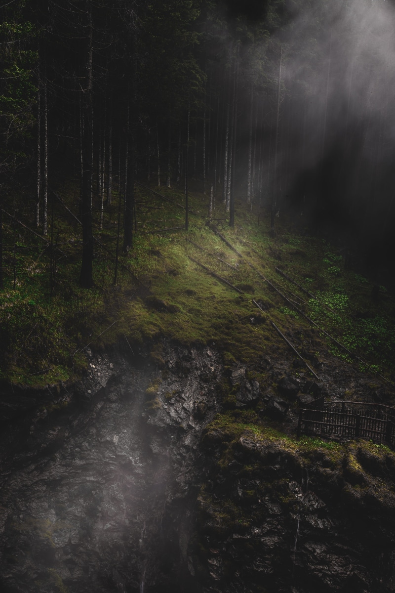trunk, foam, scenics - nature, 5K, darkness, wild, dark, no people, tranquil scene, nature, fog, tree trunk, foggy, mystical, gray, wilderness, woodland