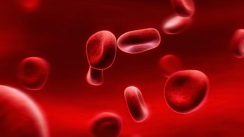 Red, Cell, cells, 1080P, Blood