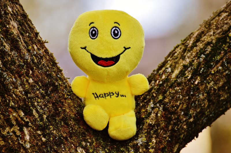 emoticon, green, fun, beginning, close-up, smile, communication, positive, life is beautiful, trunk, no people, courage, keep smiling, frohnatur, taken