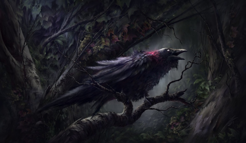 one animal, 1080P, land, outdoors, bird, plant, forest, raven, side view, vertebrate, no people, tree, perching, animal wildlife, animal themes, black color