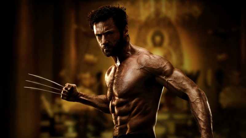 entertainment, jackman, movies, origins, the wolverine, wolverine, Hugh Jackman, hd, x-men: origins, X-Men, art, hugh, 1080P, xmen