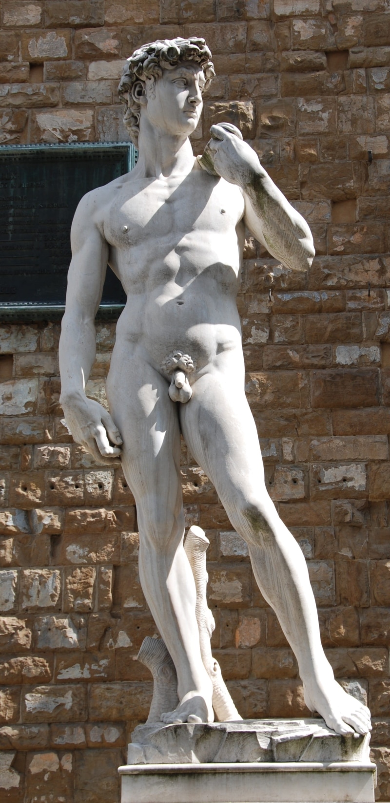 craft, male likeness, statue, history, the past, david, michelangelo, wall, art and craft, building, built structure, day, fine art statue, travel destinations