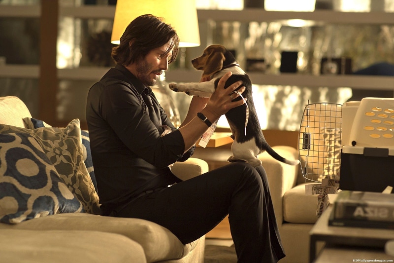 hitman, 1080P, reeves, wick, thriller, action, john, keanu, assassin, john wick