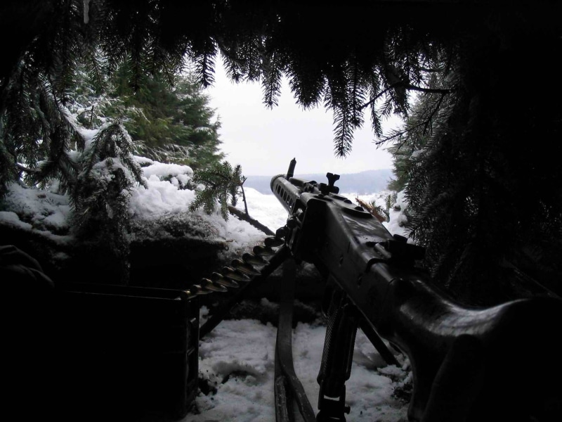 tree, cold temperature, submachine, black, animal wildlife, MG 42, animals in the wild, animal, animal themes, snow, World War II, day, nature, land, winter