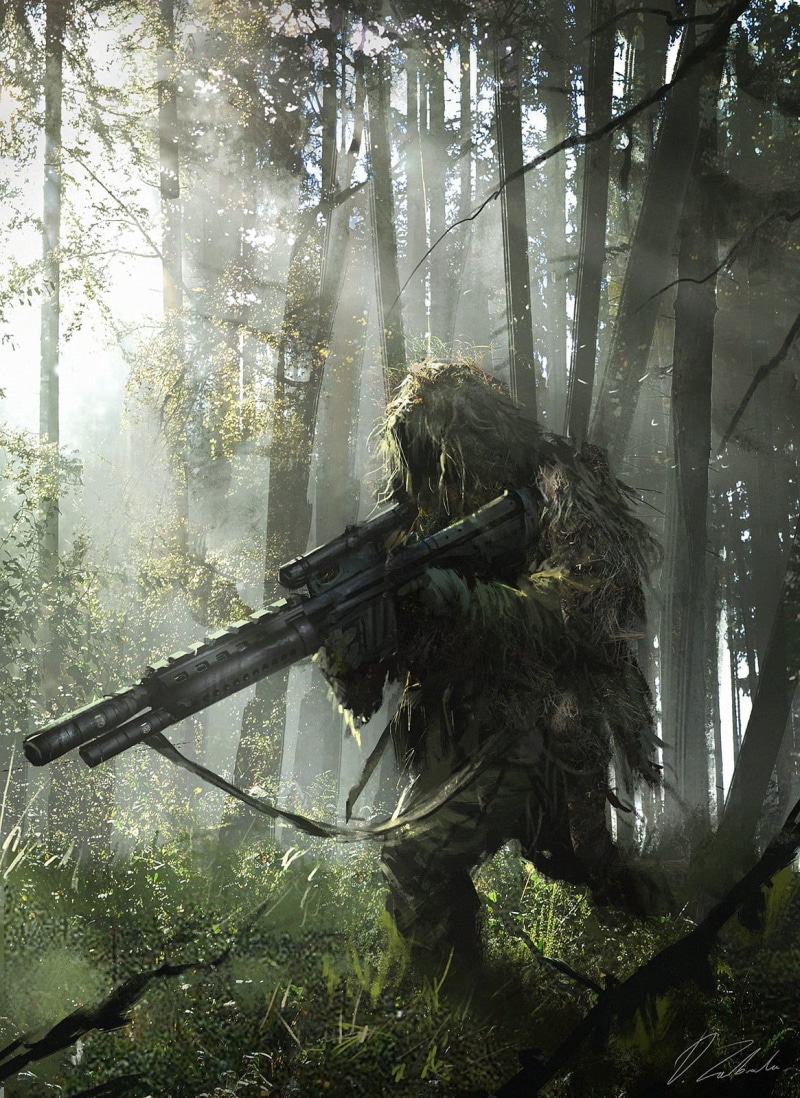 nature, land, tranquility, no people, beauty in nature, fog, snipers, branch, holding, Darek Zabrocki, day, tree trunk, assault, trunk, graphic, game, water
