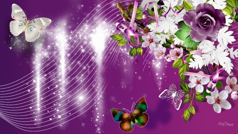 falling, magenta, apple blossoms, sakura, rain, papillon, glitter, roses, butterflies, 1080P, butterfly, flowers, purple, twinkle, bright