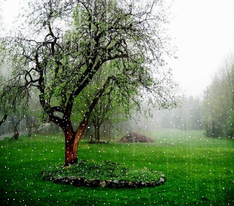 720P, nature, snow, pretty, art, neat, hd, grass, rain, other, falling
