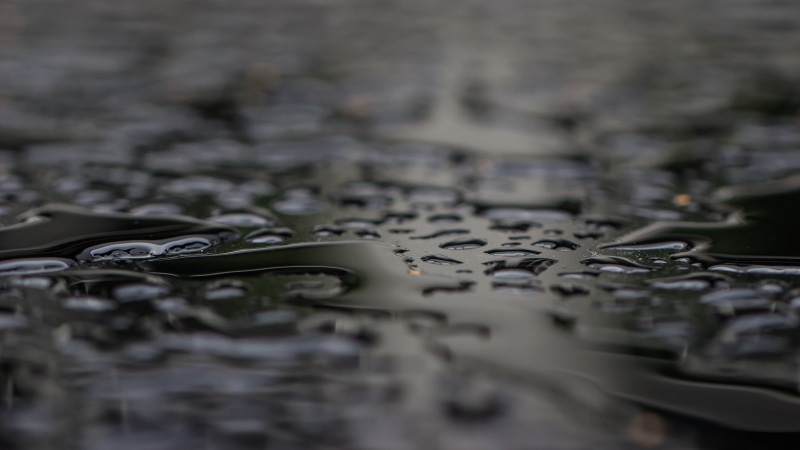falls, vatten, macro, water, close-up, abstract, drop, wet, photography, rain, mönster, pattern, 5K, After the rain, regn