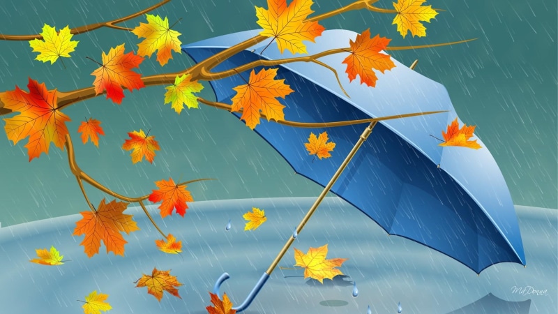 aqua, shower, puddle, rain, leaves, breeze, autumn, weather, wind, tree, blue, 1080P, umbrella, fall