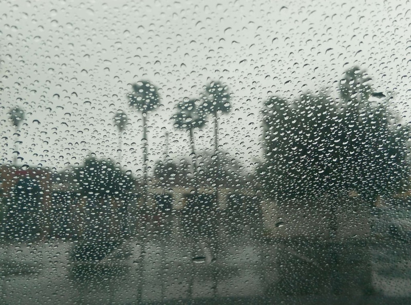 window, glass - material, transparent, city, drop, water, rainy day, fall, wet, 1080P, day, raindrop, palm trees, mode of transportation, close-up, glass