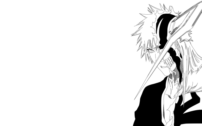 hairstyle, cut out, front view, studio shot, Kurosaki Ichigo, lifestyles, indoors, 2K, representation, minimalism, adult, anime, creativity, human hair