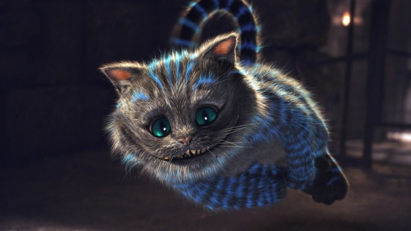 animal body part, illuminated, close-up, Cheshire Cat, domestic cat, animal themes, cheshire, Alice in Wonderland, animal head, feline, animal eye, one animal