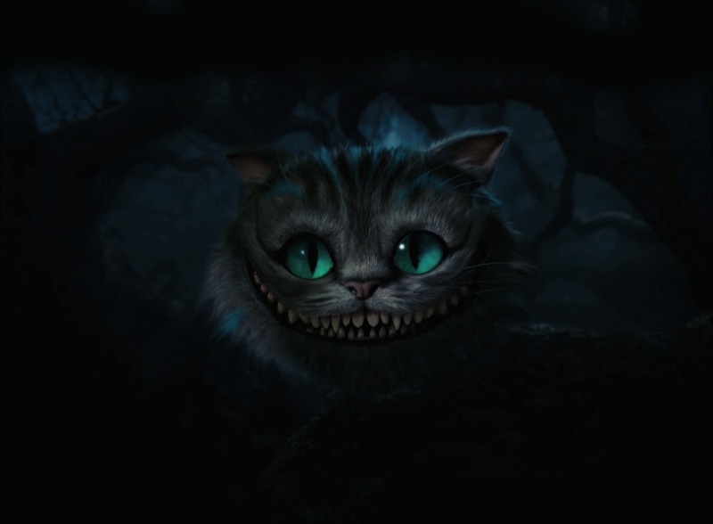 wonderland, whisker, animal eye, domestic cat, cheshire cat, cheshire, one animal, looking at camera, cat, alice, indoors, Movies, dark, portrait, domestic animals