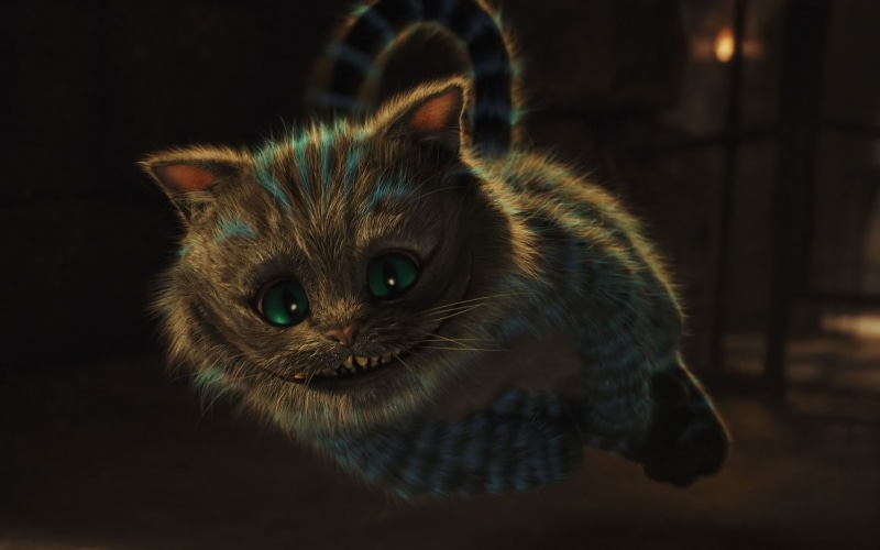 domestic animals, feline, looking at camera, cat, close-up, portrait, cheshire, animal eye, no people, 1080P, whisker, alice, Alice in Wonderland, indoors