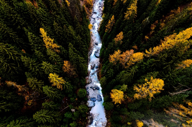 landscape, outdoors, plant, flowing water, beauty in nature, tree, flowing, no people, land, river, non-urban scene, 4K, motion, green color, nature, floral