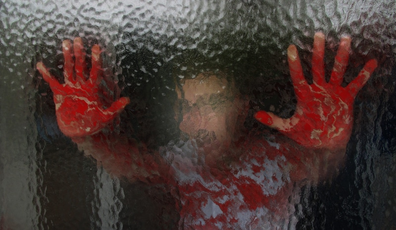 in blood, bloody, red, creepy, voltage, blood, glass wall, hand, domestic animals, indoors, nature, glass - material, holding, hands, glass, looking at camera