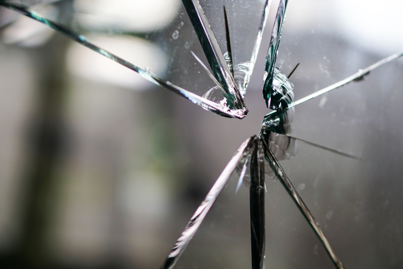 plant, animal wildlife, damage, window pane, water, close-up, vulnerability, spider, nature, fragile, animal, day, dew, focus, shard, window, structure