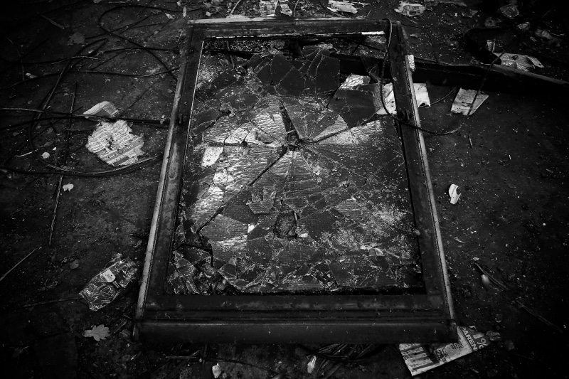 obsolete, leave, past, architecture, messy, indoors, day, leaf, break up, black and white, demolished, one animal, greyscale, plant part, abandoned, lapsed